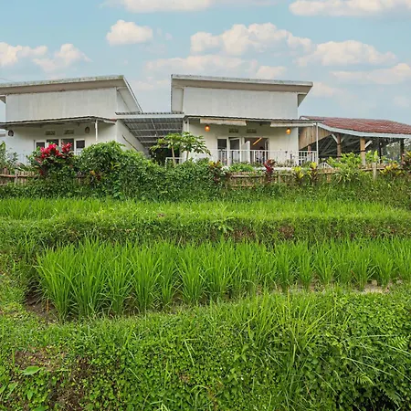 Santya Loka Lodge & Twin Waterfall