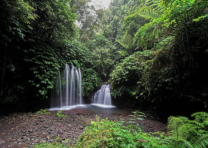 Santya Loka & Twin Waterfall Maison d'hôtes